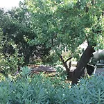 Casa Dell'arte Σπίτι διακοπών Veglie
